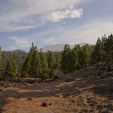 Teneriffa-Volcano-Chinyero-Trail