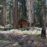 Squatters-Cabin_Sequoia-NP
