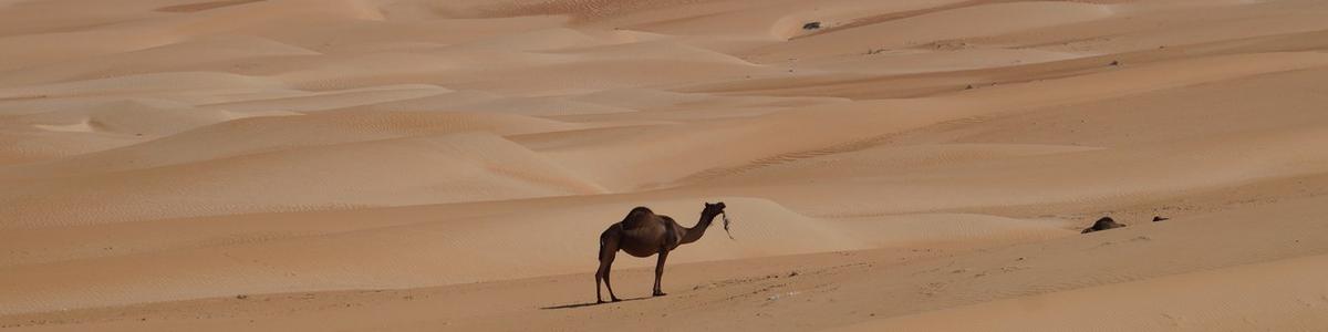 6801_Liwa-Oase_Rub al-Chali-Desert