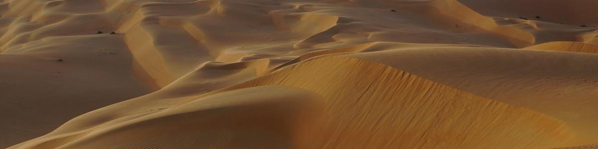 6285_Liwa-Oase_Rub al-Chali-Desert