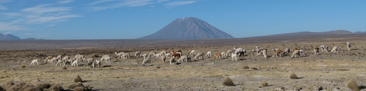 Peru-Altiplano