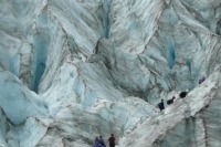Franz-Josef-Glacier-Walk