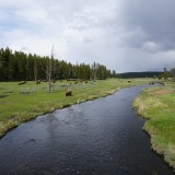 Yellowstone-NP