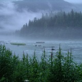 Haines-Chilkat River