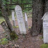 Dyea-Friedhof